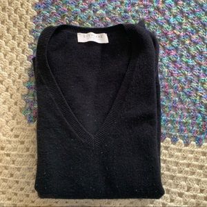 Everlane Navy Cashmere Vneck